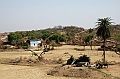 495_India_Alipura