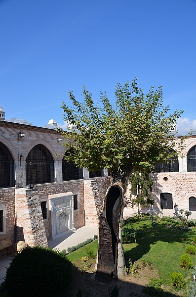 110_Istanbul_Museum_of_Turkish_Islamic_Arts.JPG