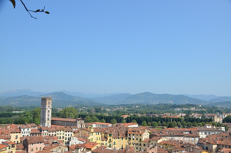 071_Italien_Toskana_Lucca_Torre_Guinigi.JPG