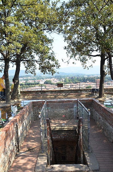 078_Italien_Toskana_Lucca_Torre_Guinigi.JPG