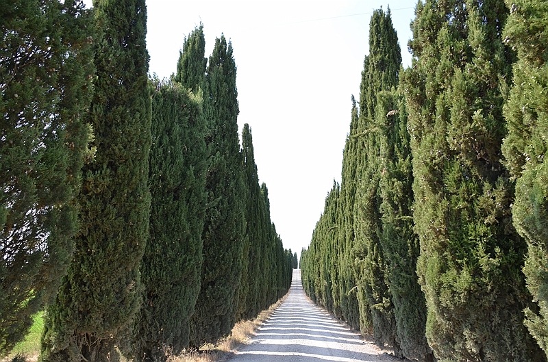 152_Italien_Toskana.JPG
