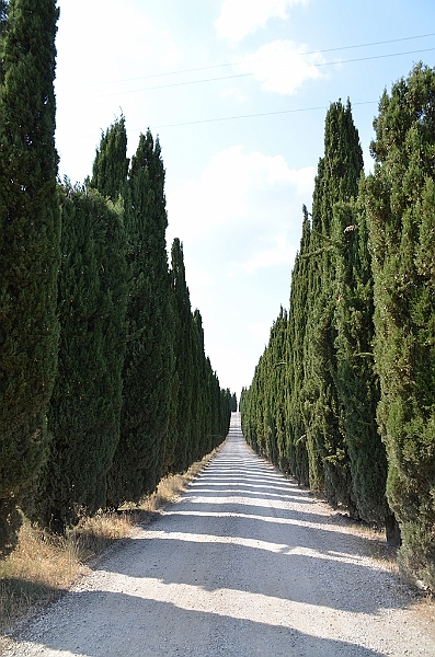 153_Italien_Toskana.JPG
