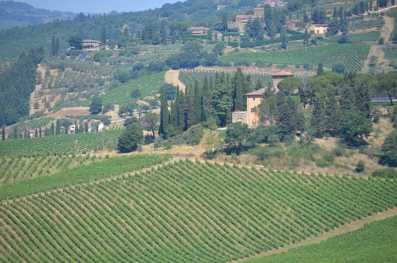 198_Italien_Toskana_Chianti.JPG