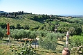 166_Italien_Toskana_San_Gimignano_BB_I_Coppi