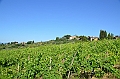 168_Italien_Toskana_San_Gimignano_BB_I_Coppi