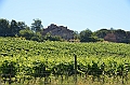 187_Italien_Toskana_Chianti