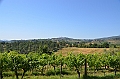 350_Italien_Toskana