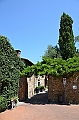 380_Italien_Toskana_Vinci