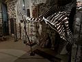 136_Italien_Suedtirol_Bruneck_Messner_Mountain_Museum_Ripa