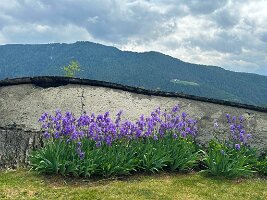 026_Italien_Suedtirol_Dolomiten_Burg_Rodenegg