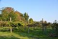 010_Italien_Gardasee_Parc_Hotel_Germano