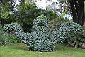 113_Italien_Gardasee_Botanischer_Garten_Gardone