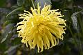 122_Italien_Gardasee_Botanischer_Garten_Gardone