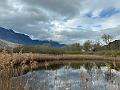 004_Italien_Suedtirol_Kalterer_See