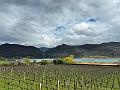 007_Italien_Suedtirol_Kalterer_See