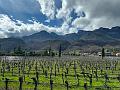 009_Italien_Suedtirol_Kalterer_See