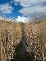 063_Italien_Suedtirol_Montiggl