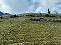069_Italien_Suedtirol