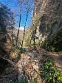 101_Italien_Suedtirol_Rastenbachklamm
