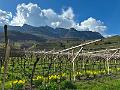 109_Italien_Suedtirol