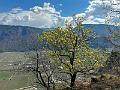 137_Italien_Suedtirol