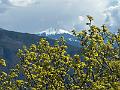 138_Italien_Suedtirol