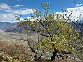 139_Italien_Suedtirol