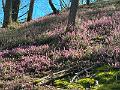 141_Italien_Suedtirol