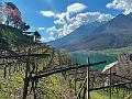 145_Italien_Suedtirol_Kalterer_See