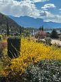148_Italien_Suedtirol_Kalterer_See
