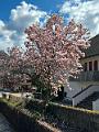 153_Italien_Suedtirol_Kalterer_See