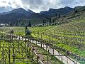175_Italien_Suedtirol_Hotel_Seeleiten