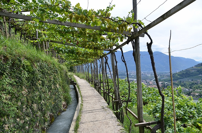 050_Meran.JPG