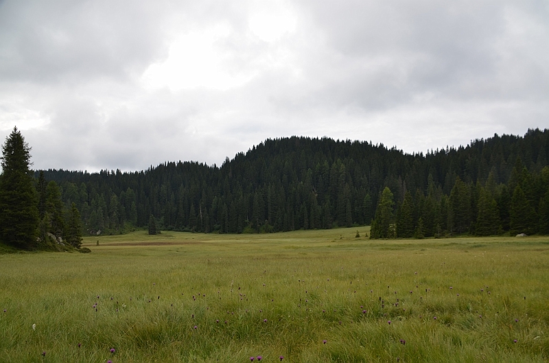 110_Meran.JPG