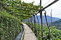 050_Meran