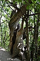 057_Meran