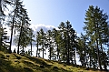 067_Meran
