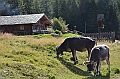 069_Meran