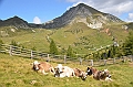080_Meran