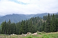 108_Meran