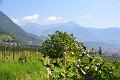 087_Italy_Algunder_Waalweg