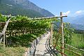 088_Italy_Algunder_Waalweg