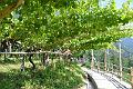 090_Italy_Algunder_Waalweg
