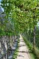 091_Italy_Algunder_Waalweg