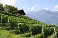 111_Italy_Maringer_Hoehenweg_Waalweg