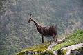 163_Italy_MMM_Juval
