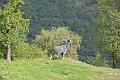 167_Italy_MMM_Juval