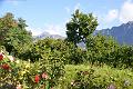 235_Italy_Marling_Landhaus_Hotel_Kristall