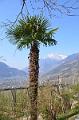 002_Italy_Meran
