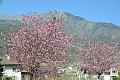 048_Italy_Meran